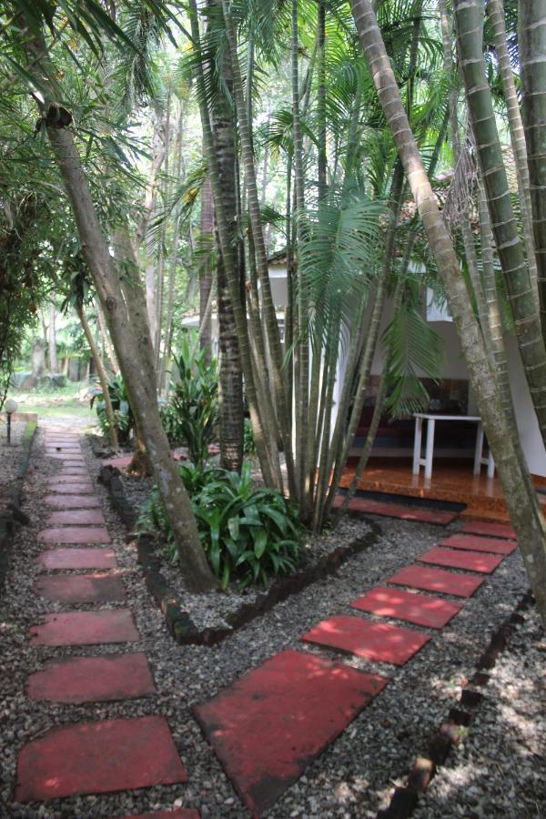 Апартаменты Mint Inside Garden Варкала Экстерьер фото